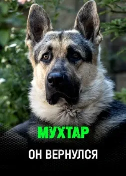 Постер Мухтар. Он вернулся (2026)