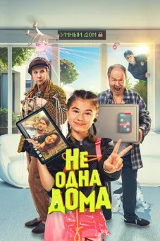 Постер Не одна дома (2024)